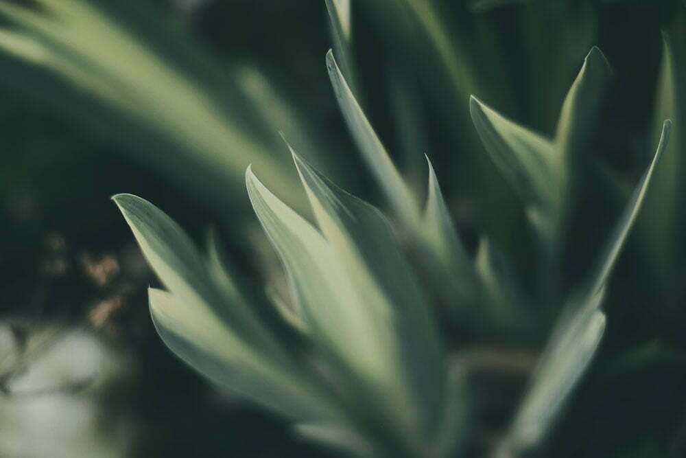 unsplash30 4 of 7