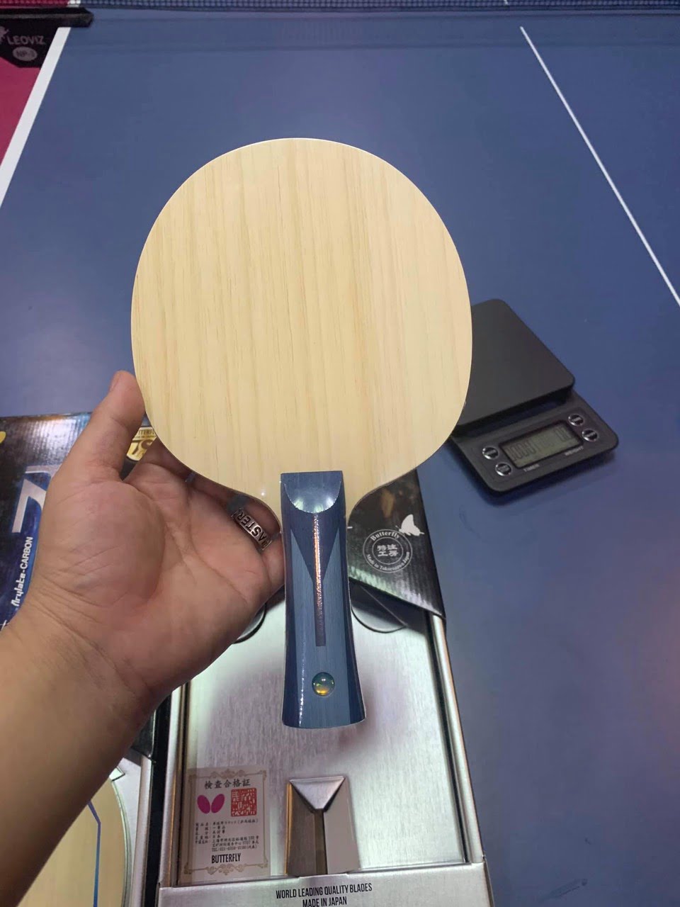 timo boll limited 2