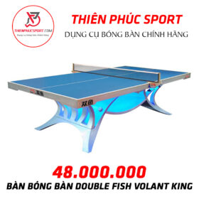 Bàn bóng bàn Double Fish Volant King